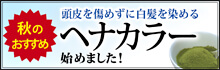 おすすめヘナカラー