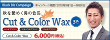 2018.09 秋を艶めくカラーワックス３色