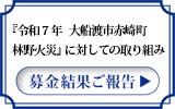 【レポート】「令和7年 大船渡市赤崎町林野火災」募金結果ご報告